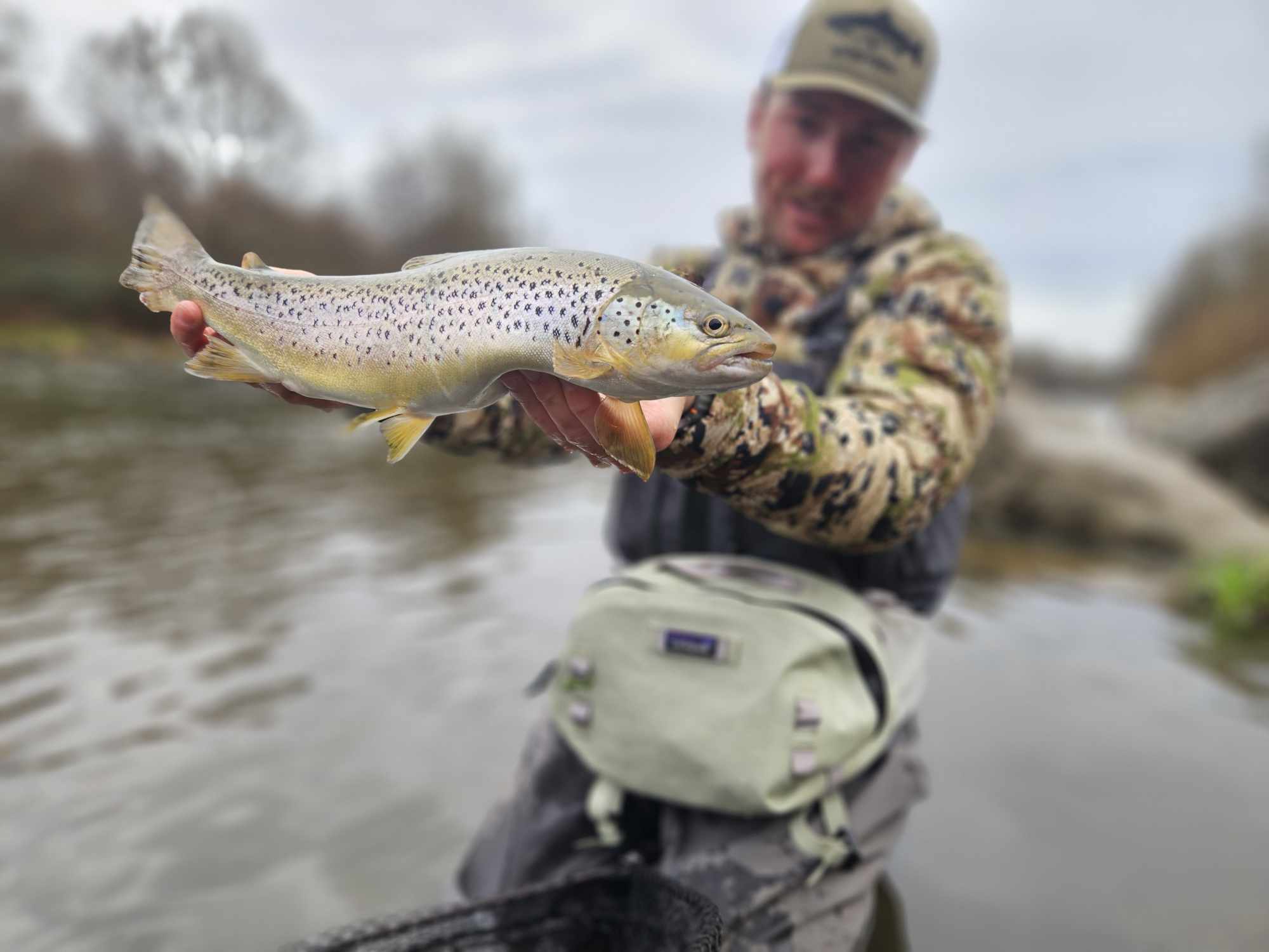 Pêche de la truite aux leurres