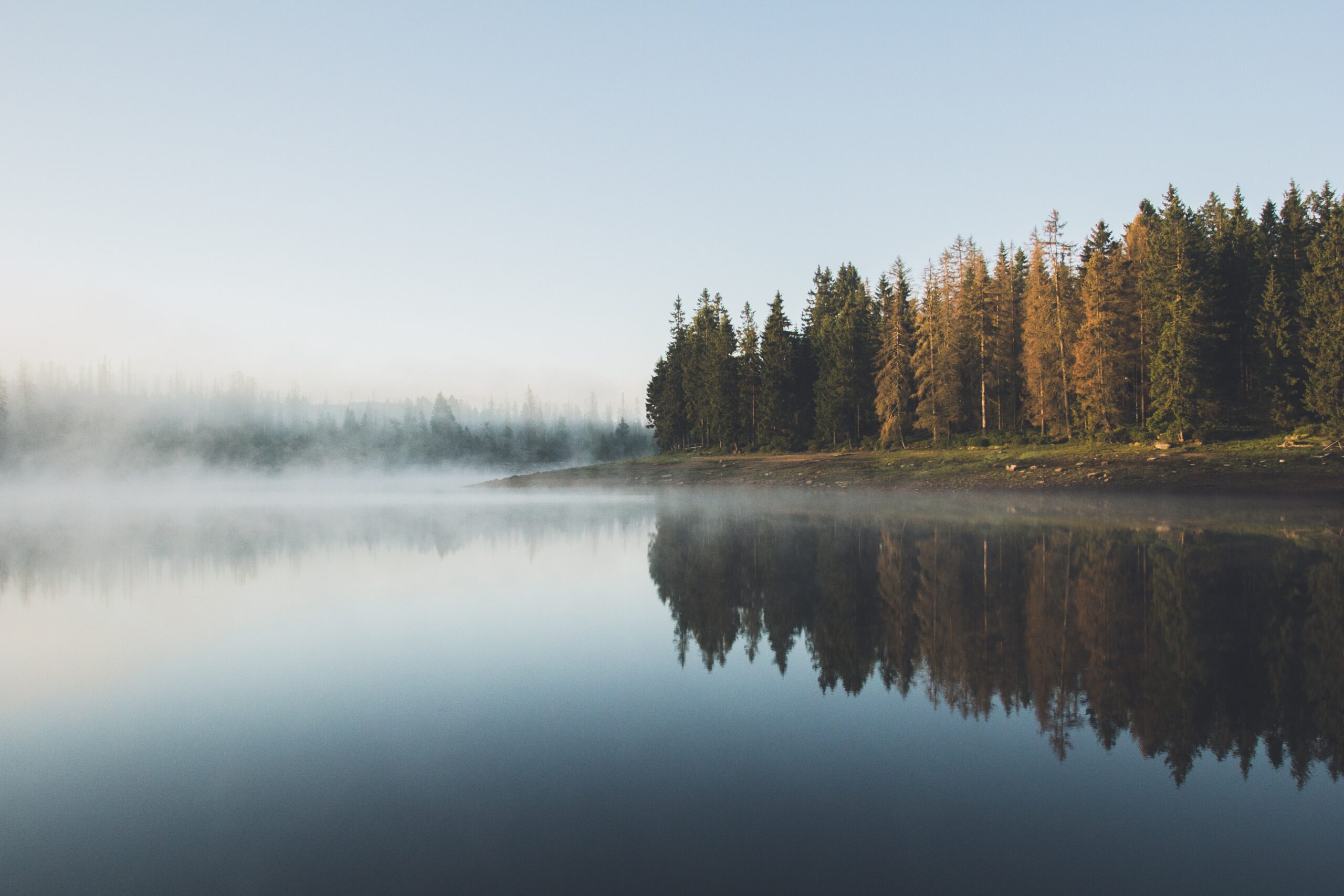 Photo d'un lac sous la brume